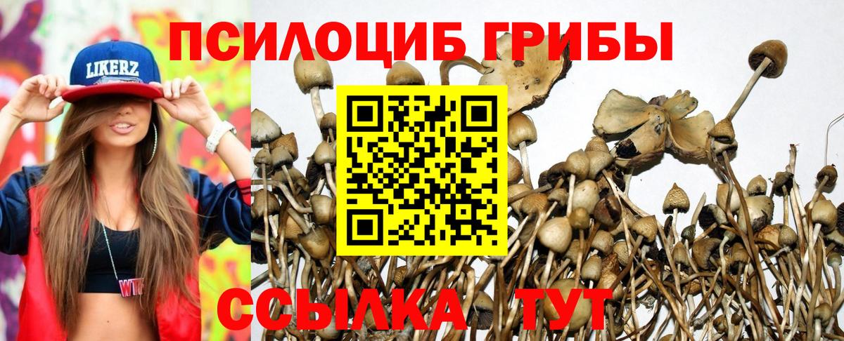 Псилоцибиновые грибы GOLDEN TEACHER Рузаевка