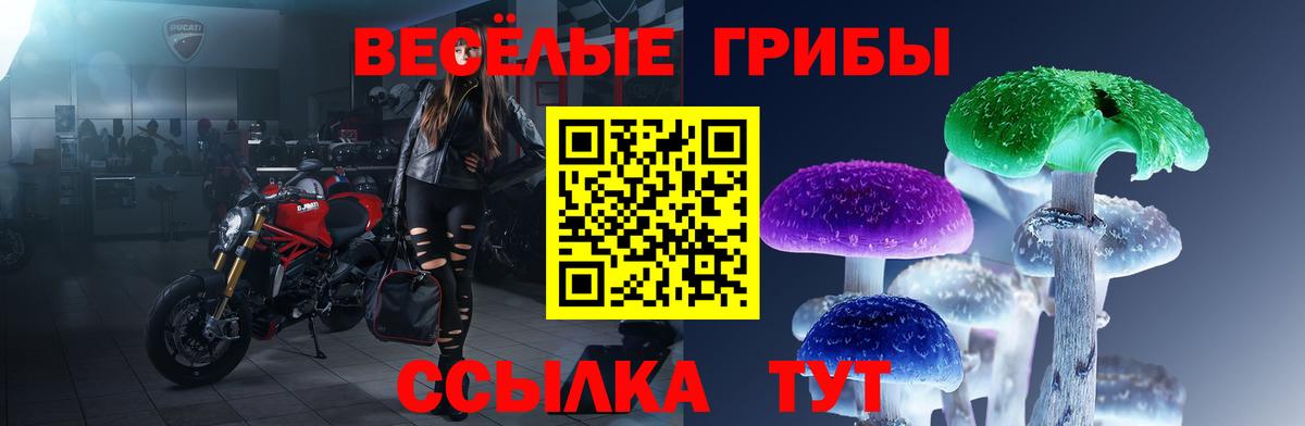 Галлюциногенные грибы Magic Shrooms  Псилоцибиновые грибы мицелий  Вход с VPN  Рузаевка 